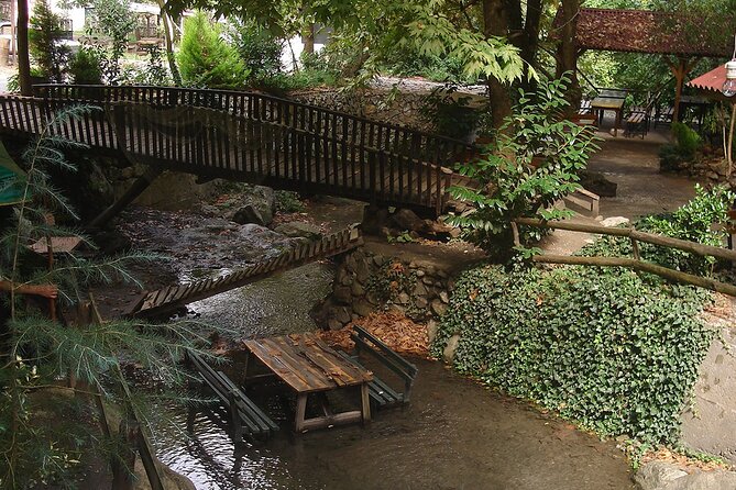 From Istanbul: Sapanca and Masukiye Day Trip with Lunch - Lunch beside the water or near a waterfall