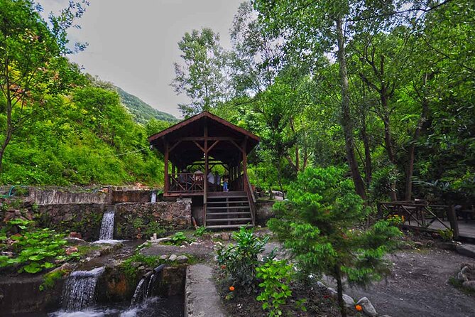 From Istanbul: Sapanca and Masukiye Day Trip with Lunch - Maşukiye ATV and quad safari