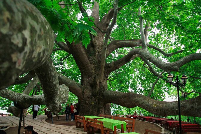 Full Day Bursa Tour from Istanbul(cable car, Lunch & transfer) - From Istanbul to Bursa: a long but useful day
