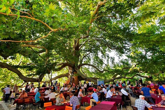 Full Day Bursa Tour from Istanbul(cable car, Lunch & transfer) - Guide service and group expectations
