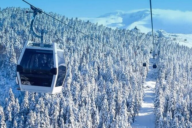 Full Day Bursa Tour from Istanbul(cable car, Lunch & transfer) - The natural park and optional ATV ride