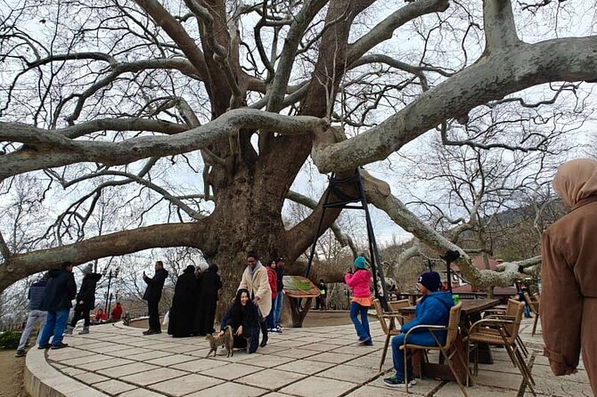 Full Day Guided Tour to Bursa and Uludag - Turkish delight and honey stops