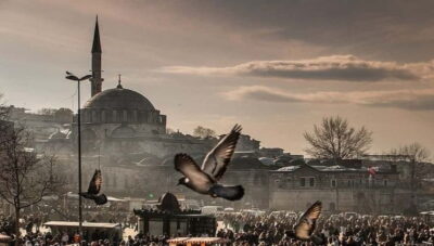 Full Day Istanbul 1, 2 or 3-Day Private City Guided Tour