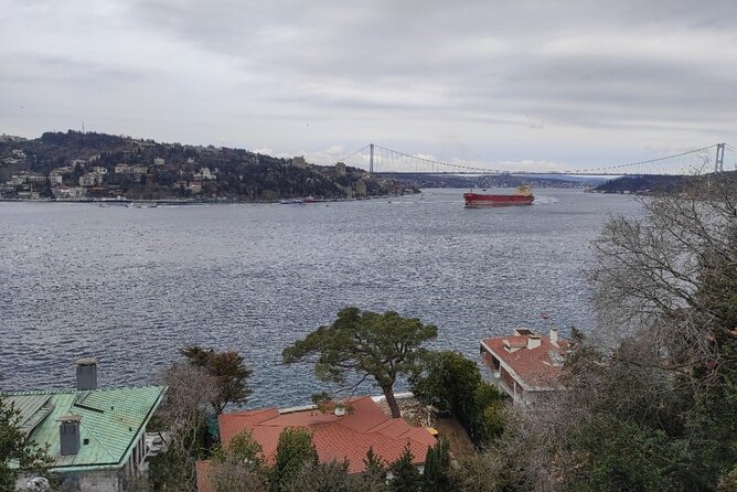 Full Day Istanbul Bosphorus Cruise and Dolmabahce Palace Tour with Private Guide - What the $250 group price really covers
