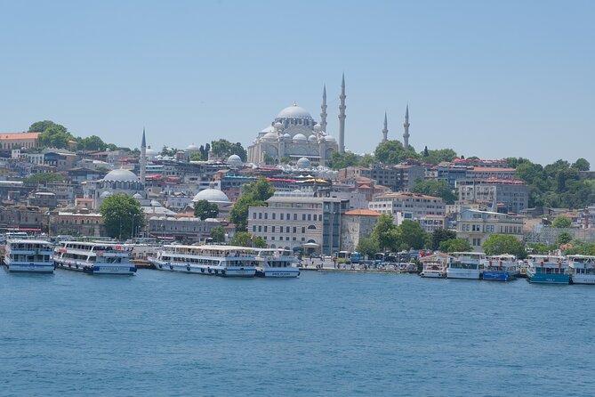 Full Day Istanbul Bosphorus Cruise and Dolmabahce Palace Tour with Private Guide - Who should book this private Istanbul day
