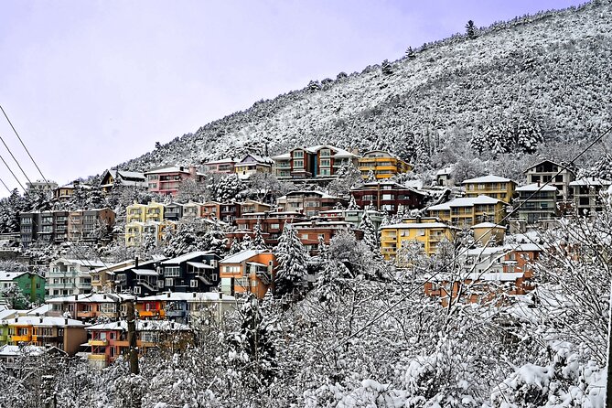 Full-Day Istanbul to Bursa Excursion With Cable Car - Uludag National Park and Three Hours in the Mountains