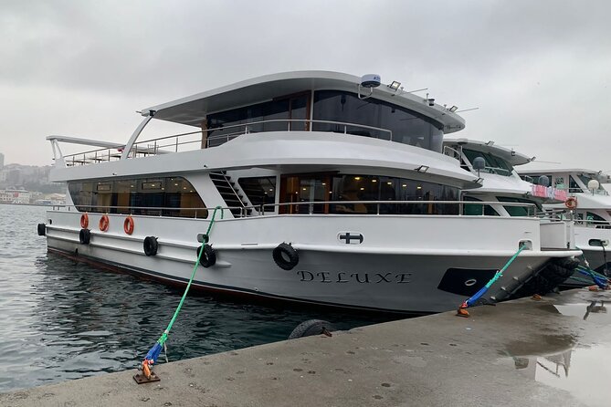 Full-Day Princes Island Tour with Lunch from Istanbul - The boat ride and Istanbul views