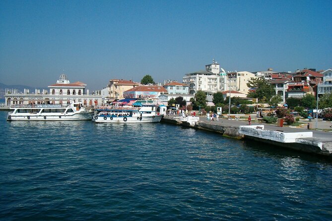 Full-Day Princes Island Tour with Lunch from Istanbul - Who should book this island day?