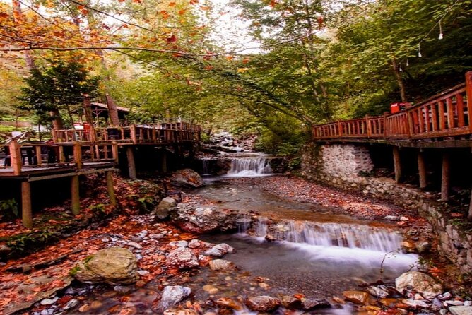 Full-Day Tour in Maşukiye and Sapanca with Pick Up - How the schedule works in practice