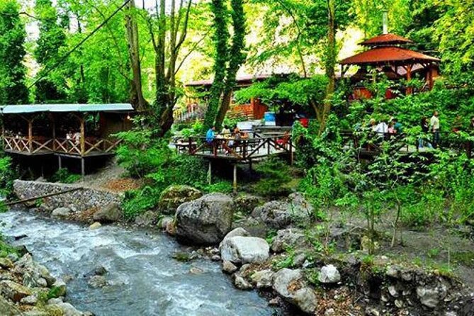 Full Day Tour in Sapanca & Masukiye from Istanbul - Maşukiye and the first taste of village life