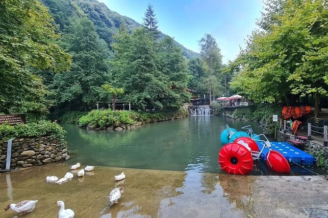 Full Day Tour in Sapanca & Masukiye from Istanbul - Darica’s seasonal animal and aquarium options