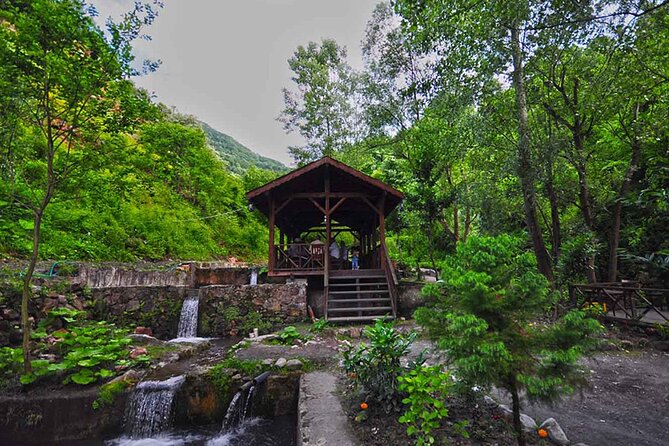 Full Day Tour Sapanca and Masukiye from Istanbul - Mahmudiye waterfalls and the lunch question