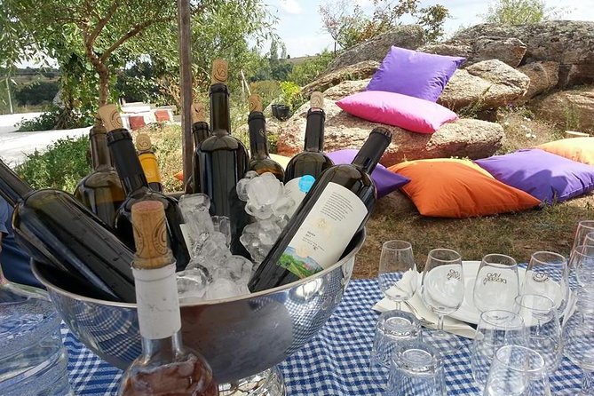 Full-Day Wine Tour from Istanbul - Why this is more than a wine tasting from Istanbul