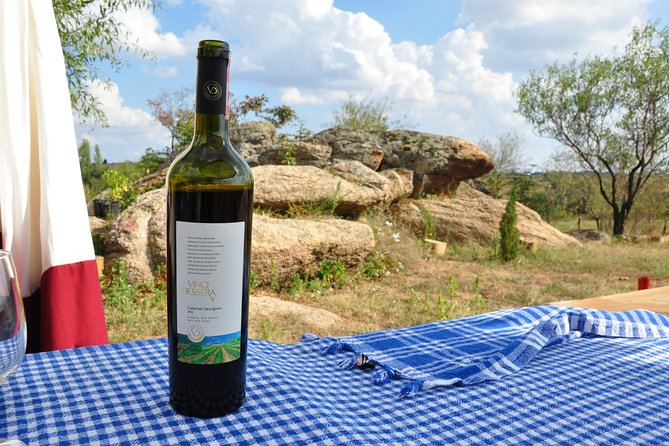 Full-Day Wine Tour from Istanbul - Leaving Istanbul for Poyrali