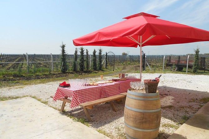 Full-Day Wine Tour from Istanbul - Chateau Nuzun in Cesmeli