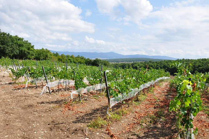 Full-Day Wine Tour from Istanbul - The long drive is part of the price