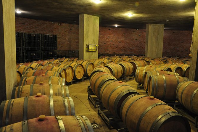 Full-Day Wine Tour from Istanbul - Who will enjoy this wine-country day