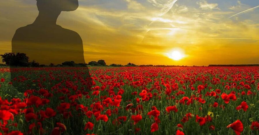 Gallipoli Full-Day Tour from Istanbul - What the four-hour Gallipoli visit feels like