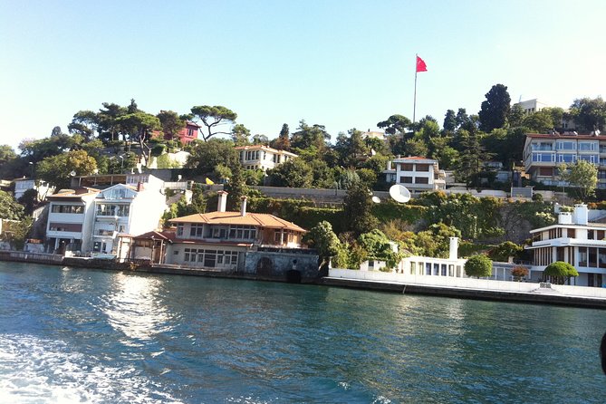 Golden Horn and Bosphorus Boat Tour in Istanbul - Guide commentary and the English experience