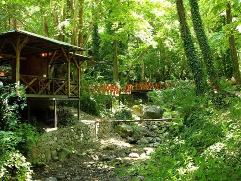 Guided Day Trip to Sapanca and Masukiye From Istanbul - Who should book this Sapanca day trip?