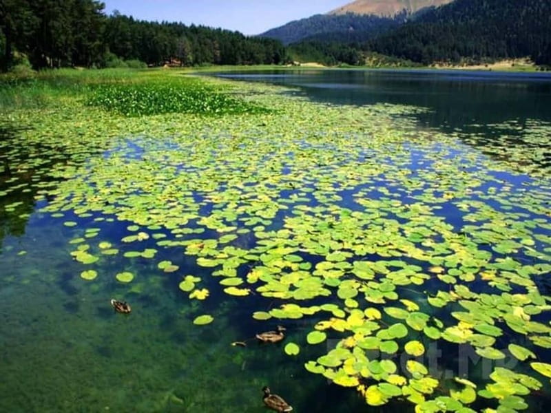 Guided Day Trip to Sapanca and Masukiye From Istanbul - Masukiye village and a country lunch