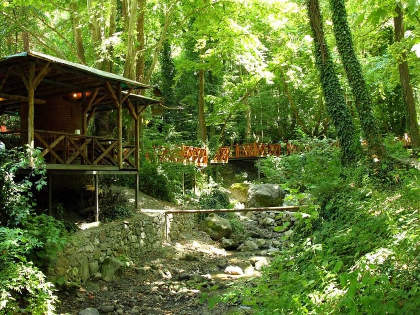 Guided Day Trip to Sapanca and Masukiye From Istanbul - Kartepe rides for extra adventure