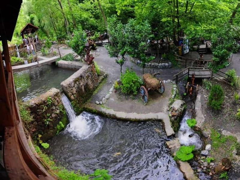 Guided Day Trip to Sapanca and Masukiye From Istanbul - Sapanca Zoo and the question of opening hours