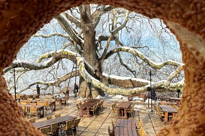 Guided Green Bursa Tour with Cable Car From Istanbul to Uludag - Turkish delight at Hacivat and Karagöz Lokumcusu