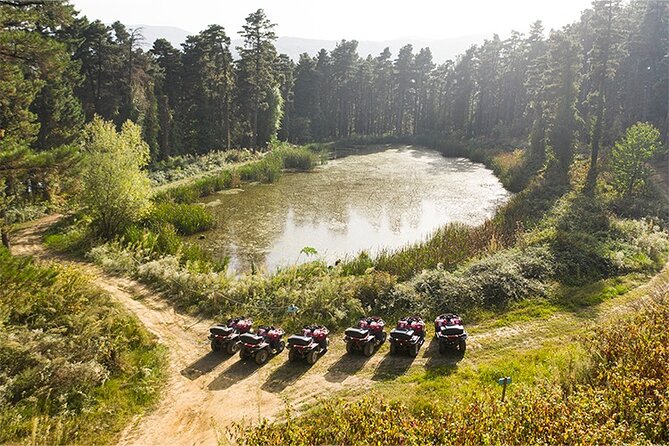 Guided Sapanca and Masukiye Full Day Tour from Istanbul - Darica Zoo or Lion Park and Aquarium