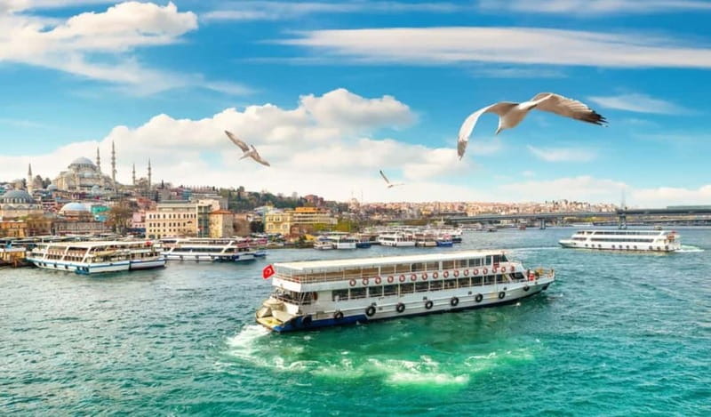 Hagia Sophia, Bosphorus cruise Blue Mosque, Small Group tour - Blue Mosque and the first walk through Sultanahmet