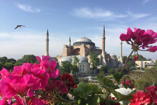 Hagia Sophia Group Tour ( Licensed Guide) - The 40-minute Hagia Sophia visit