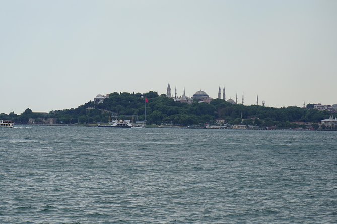 Half Day Morning Bosphorus Cruise & Spice Bazaar visit (Bus and Boat Tour) - Why the Bosphorus is the main event