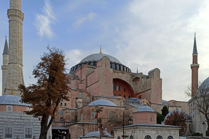Highlights of İstanbul's Old Town with Private Guiding Service - What the $100 price gives you