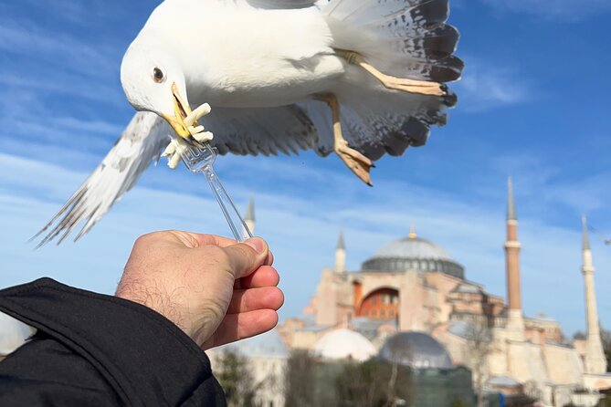 Imperial Traces of Istanbul – Private Guided Signature Tour - Spending two hours inside Topkapi Palace