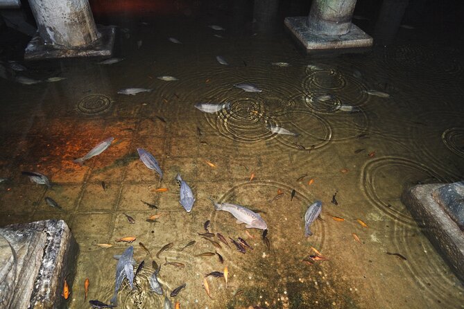 Istanbu City Walk: Topkapi Palace, Harem, & Basilica Guided Tour - Topkapi Palace and the world of the Ottoman sultans