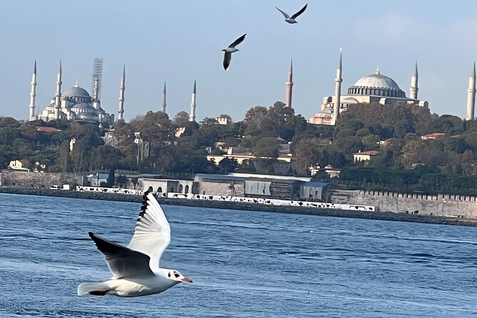 Istanbul Airport or Cruise Ship Private Layover Tour - Istiklal Avenue and Beyoglu