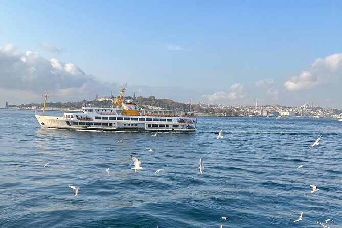Istanbul Airport or Cruise Ship Private Layover Tour - Who should book this Istanbul stopover?