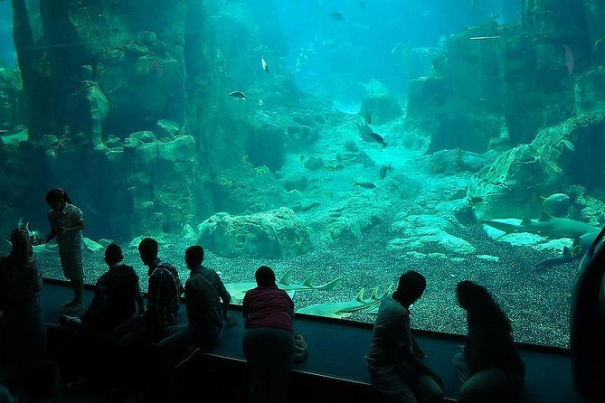 Istanbul Aquarium and Aqua Florya Independent Shopping Trip - The transport is useful, but it is not a guided tour