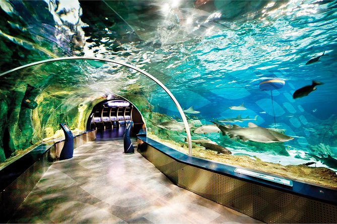 Istanbul Aquarium and Aqua Florya Independent Shopping Trip - Is $300.06 per person good value?