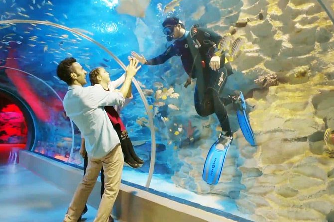 Istanbul Aquarium and Aqua Florya Independent Shopping Trip - The optional 5D cinema costs extra