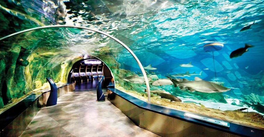 Istanbul Aquarium and Aqua Florya Shopping Mall Tour - Key points at a glance