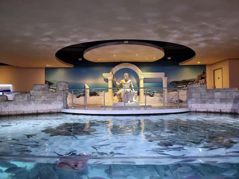 Istanbul: Aquarium Ticket and Round Trip Shuttle from Taksim - What you will actually see inside