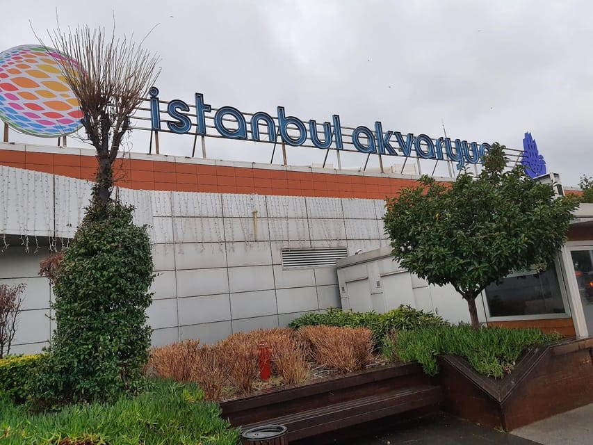 Istanbul: Aquarium Ticket and Round Trip Shuttle from Taksim - The return bus and the extra time