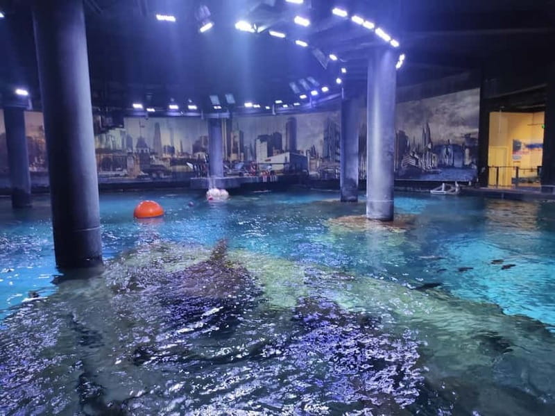 Istanbul: Aquarium Ticket and Round Trip Shuttle from Taksim - Is $33 a good value?