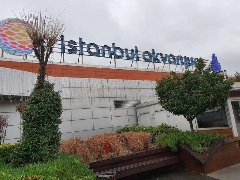 Istanbul: Aquarium Ticket and Round Trip Shuttle from Taksim - Practical planning tips for the day