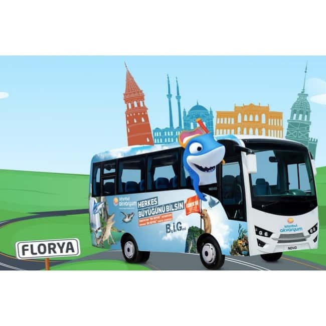 Istanbul: Aquarium Ticket with Shuttle Bus from Sultanahmet - Entering with the separate ticket line