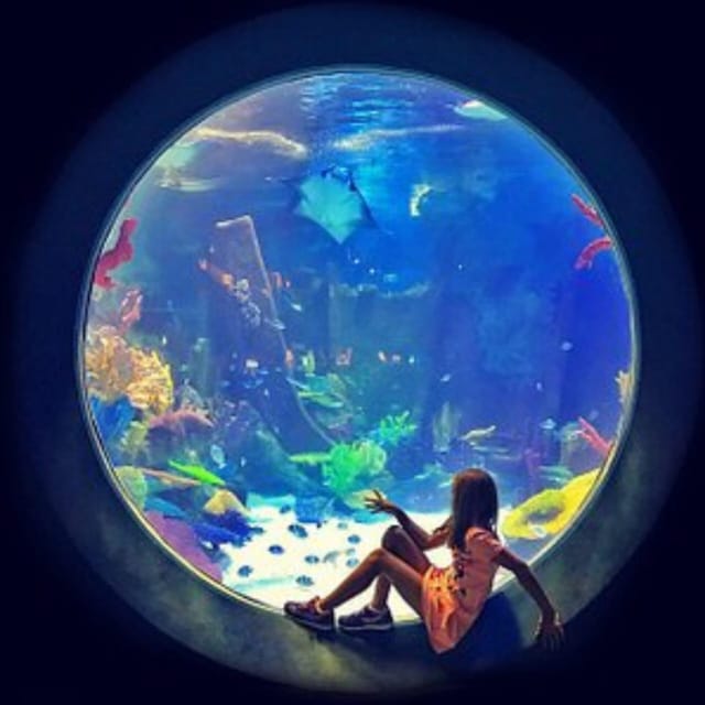 Istanbul: Aquarium Ticket with Shuttle Bus from Sultanahmet - Who should book this experience?