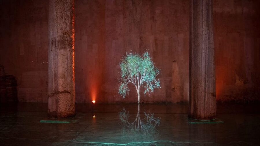 Istanbul: Basilica Cistern Skip-the-Ticket-Line Guided Tour - Crowds, access, and practical comfort