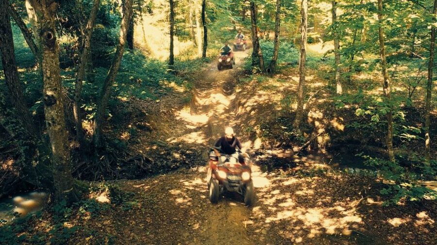 Istanbul: Belgrad Forest ATV Tour with Ziplining Option - Forty minutes on Belgrad Forest tracks