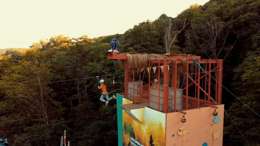 Istanbul: Belgrad Forest ATV Tour with Ziplining Option - Should you book this Belgrad Forest ATV tour?